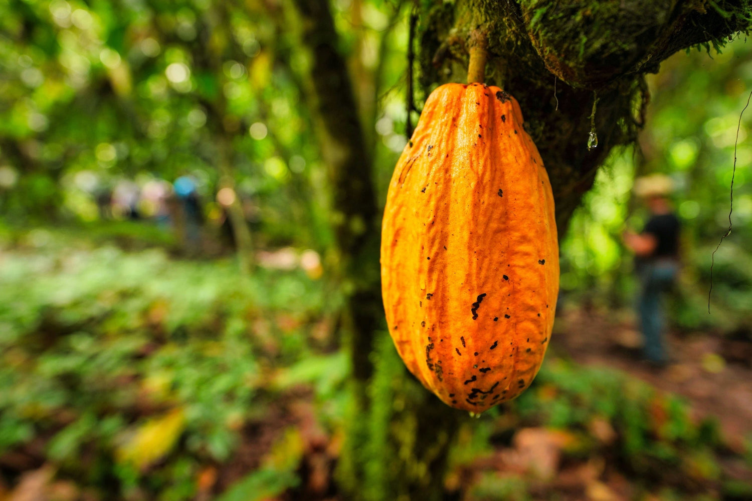 Ecuador